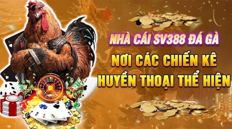 Hướng dẫn đăng ký tham gia chơi đá gà trực tuyến