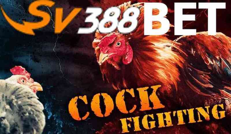 Cách chơi SV388