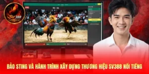 Bảo Sting